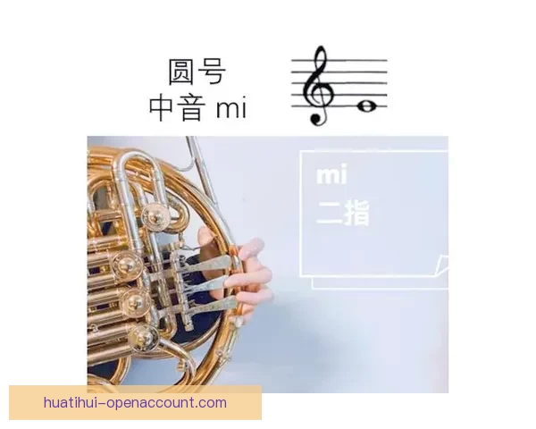 世界杯赛事胜负赔率实时查询与投注技巧全面指南